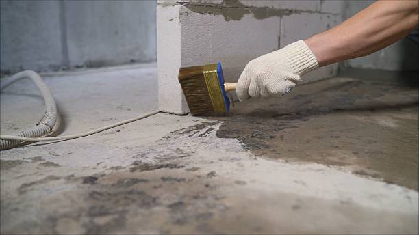 SJ Waterproofing Pros Waterproofing coverage map for Erie, MI and surrounding area